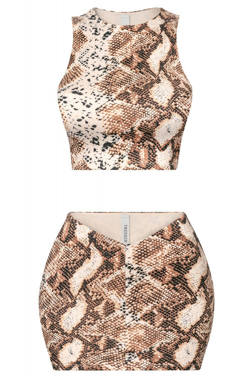 Samira Snake Print Two Piece Set - Style Delivers