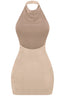 Holly Cowl Neck Glitter Mini Dress Taupe - Style Delivers